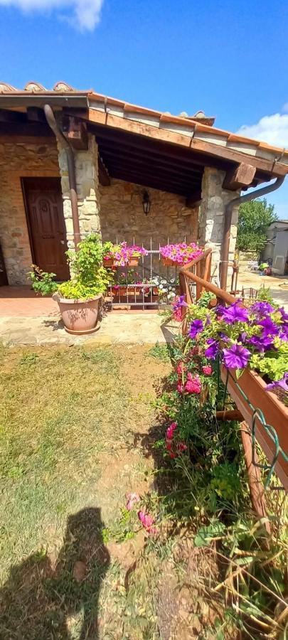 Agriturismo La Casina Saturnia Eksteriør bilde